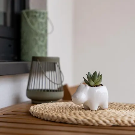 Triodi Apartment Zlatibor