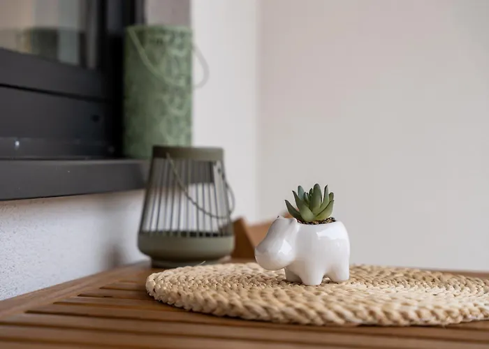 Triodi Daire Zlatibor